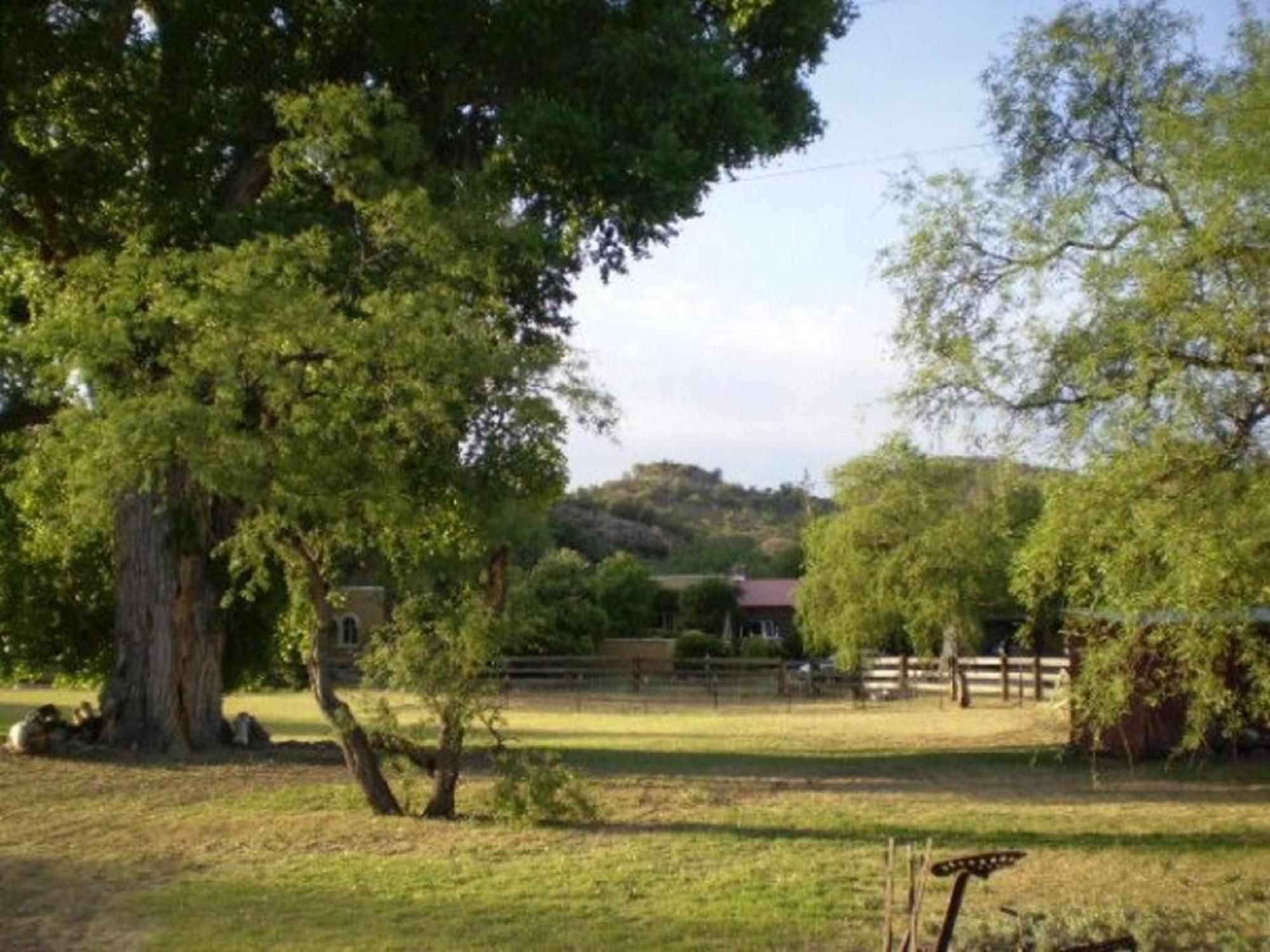 Spirit Tree Inn B&B Patagonia Exterior foto